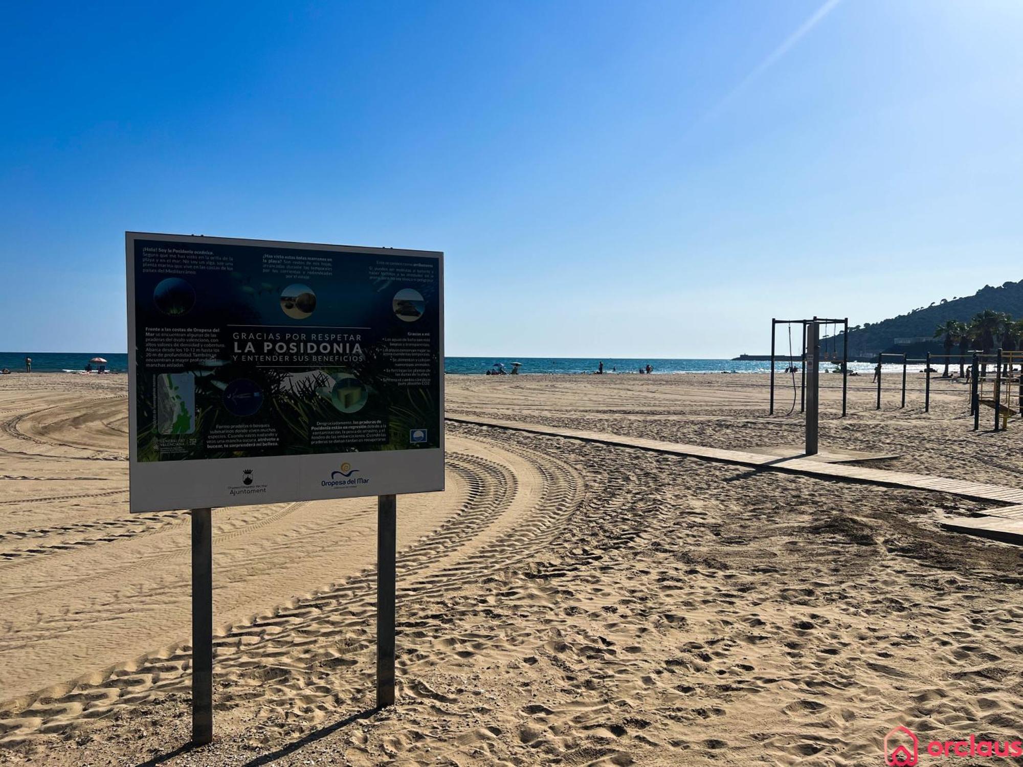 אורופסה דל מר El Paraiso En Playa Concha מראה חיצוני תמונה